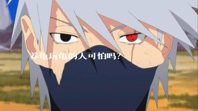 养龟玩龟的人可怕吗？